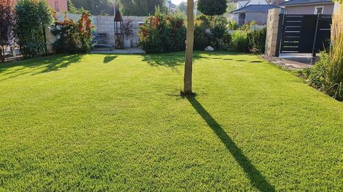 Foto - Einfamilienhaus in Meißen