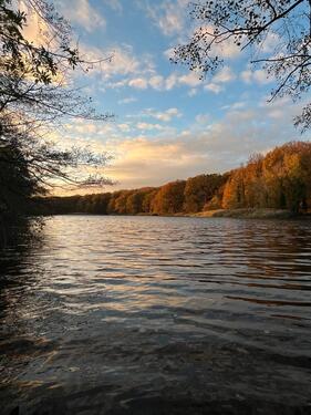 Foto - andere in Berlin zur Miete