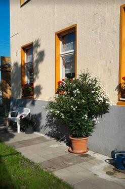 Foto - 7 Zimmer Einfamilienhaus zum Kaufen in Bad Sulza