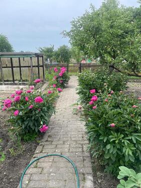 Foto - Grundst&uuml;ck zur Miete in Körner