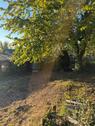 Foto - Grundst&uuml;ck in Homberg (Efze)