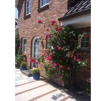 Erkunden Sie die Insel Sylt mit der ganzen Familie