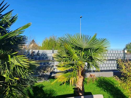 Foto - 6 Zimmer Einfamilienhaus zum Kaufen in Sankt Ingbert