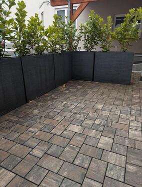 Foto - Apartment Mainaschaff 1 Zimmer möbliert