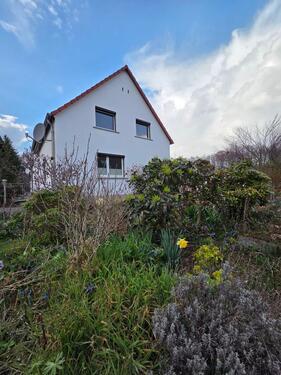 Foto - Doppelhaushälfte in Radebeul-Lindenau im Dornröschenschlaf