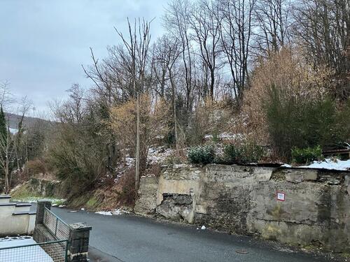 Foto - Einfamilienhaus zum Kaufen in Freudenberg