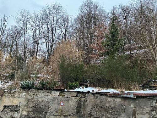 Foto - Einfamilienhaus in Freudenberg