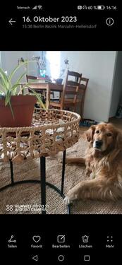 Foto - Etagenwohnung zur Miete in Berlin