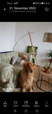 Foto - Etagenwohnung in Berlin