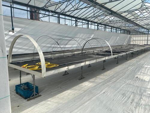 Foto - Gewächshausflächen Containerfläche zu verpachten