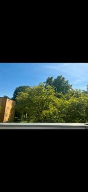Foto - 2.5 Zimmer Etagenwohnung zum Kaufen in Berlin