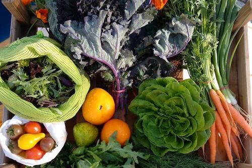 Foto - Kleingarten Gemüsegarten Garten Selbstversorger Gemüse Acker