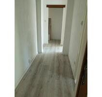 1Raumwohnung mit Garten zwischen Neubrandenburg und Stavenhagen - Rosenow