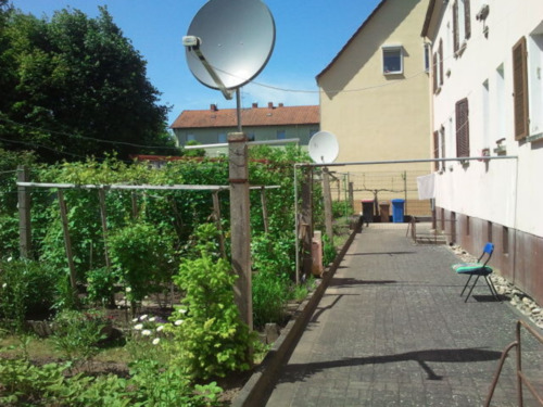 Foto - 2 Zimmer Etagenwohnung zur Miete in Zweibrücken