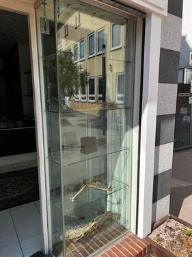 Foto - andere in Wissen