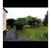 Wochenendgrundstück - 19.000,00&nbsp;EUR Kaufpreis, ca.&nbsp; 25,00&nbsp;m&sup2; in Bitterfeld-Wolfen (PLZ: 06749)