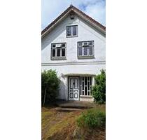 Schöne sonnige 3- Zimmer Wohnung mit Garten an der Schlei - Brodersby-Goltoft