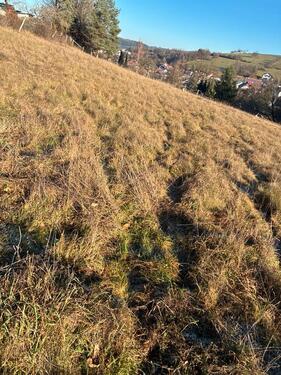 Foto - Grundst&uuml;ck in Frankfurt am Main