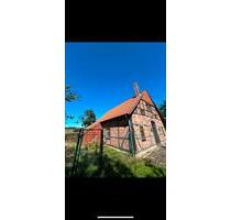 Einfamilien Fachwerkhaus in Auhagen - Sachsenhagen