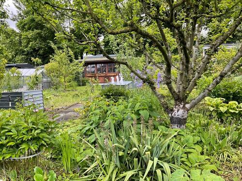 Foto - Kleingarten abzugeben - 2.800,00&nbsp;EUR Kaltmiete, ca.&nbsp; 0,00&nbsp;m&sup2;