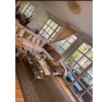 Mietwohnung Maisonette in Berlin-Dahlem