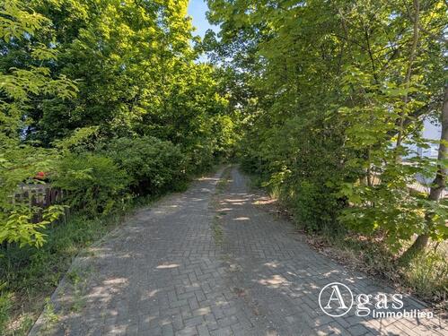 Foto - großzügiges Grundstück nahe der Altstadt in Brandenburg an der Havel