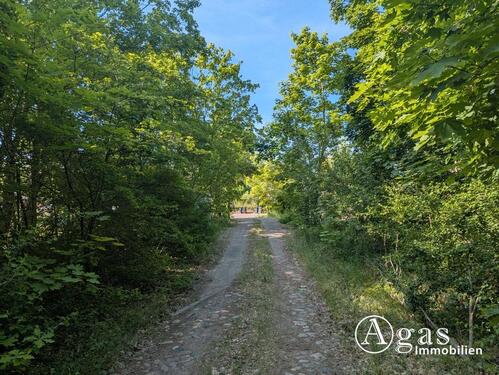 Foto - andere zur Miete in Brandenburg an der Havel