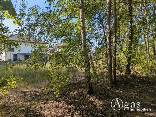 Foto - andere in Brandenburg an der Havel