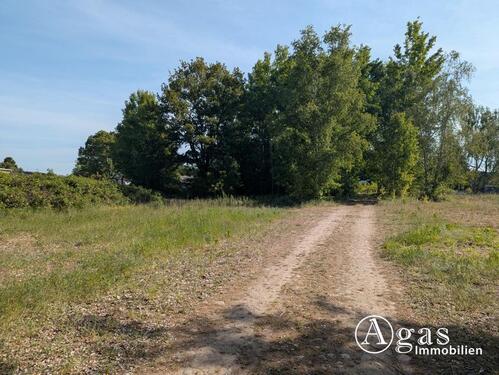 Foto - andere in Brandenburg an der Havel zur Miete