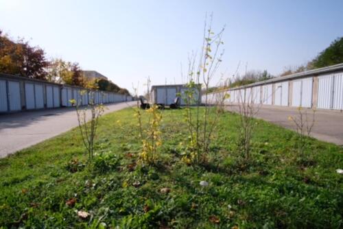 Foto - **Garagen in Burg Süd zu vermieten**