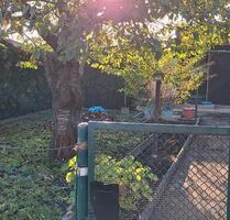 Pachtgarten in Heimatruh - 500,00 EUR Kaltmiete, ca.  0,00 m² in Senftenberg (PLZ: 01968)