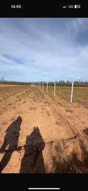 Foto - 7500 m² Grundstück in Bouarg, Nador