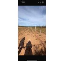 7500 m² Grundstück in Bouarg, Nador - Frankfurt am Main Ginnheim