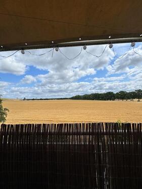 Foto - 
