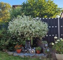 1-2 Familienhaus - 225.000,00&nbsp;EUR Kaufpreis, ca.&nbsp; 210,00&nbsp;m&sup2; in Neunkirchen (PLZ: 66540) Heinitz