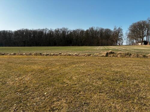 Foto - andere zur Miete in Hankensbüttel