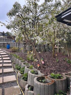 Foto - 7 Zimmer Einfamilienhaus zum Kaufen in Sinsheim