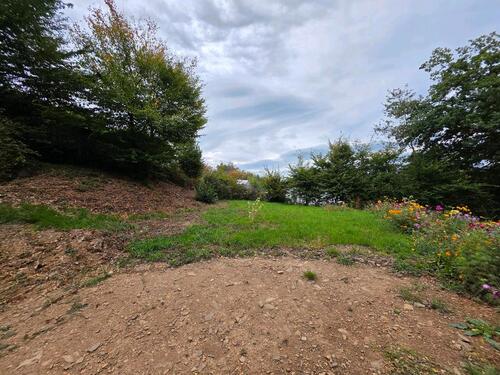 Foto - Baugrundstück - 200,00 EUR Kaltmiete, ca.  0,00 m²