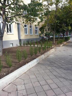 Foto - Etagenwohnung zur Miete in Erfurt
