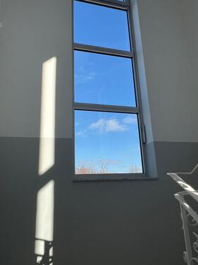 Foto - andere in Wolfsburg