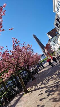 Foto - andere zur Miete in Niederlangen