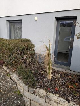 Foto - 1 Zimmer Etagenwohnung zur Miete in Oberboihingen