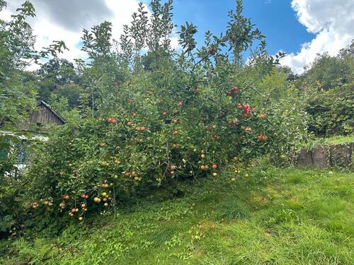Foto - Grundstück in Wuppertal zur Miete
