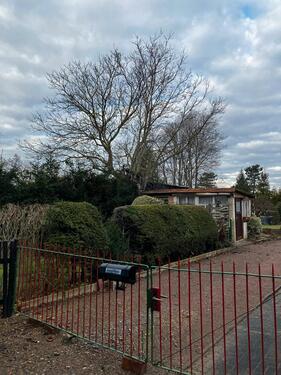 Foto - 6 Zimmer Einfamilienhaus zum Kaufen in Oschatz