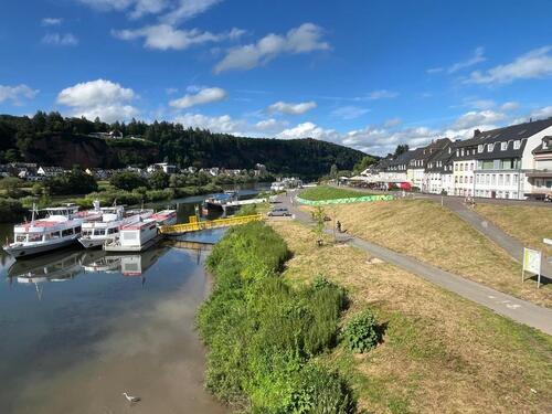 Foto - Schöne helle Single-Wohnung Untervermietung Moselufer ab 01.02.26