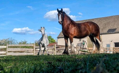 Foto - 