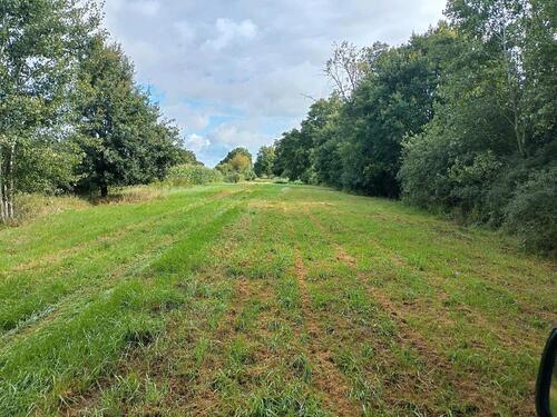 Foto - Grundstück in Scharnebeck zur Miete
