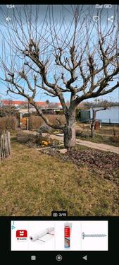 Foto - Grundst&uuml;ck in Magdeburg