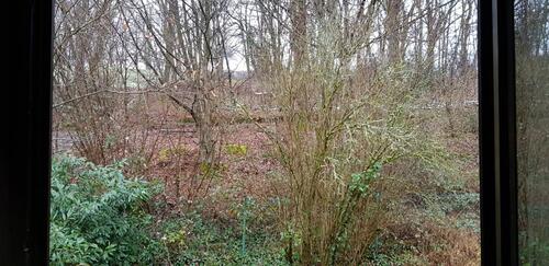 Foto - Etagenwohnung in Bad Soden-Salmünster