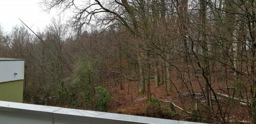 Foto - Etagenwohnung in Bad Soden-Salmünster zur Miete